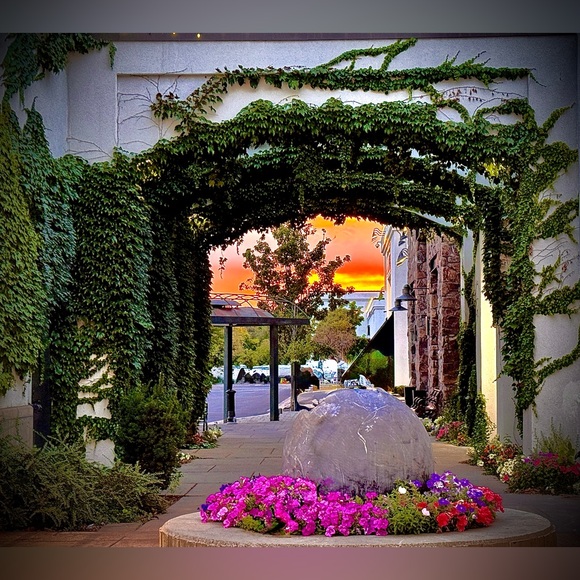 Meet your Posher, Benz Her - Picture 3 of 16